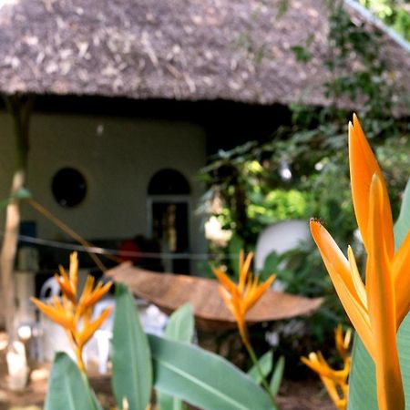 Kim'S Garden Villa Anda  Eksteriør billede