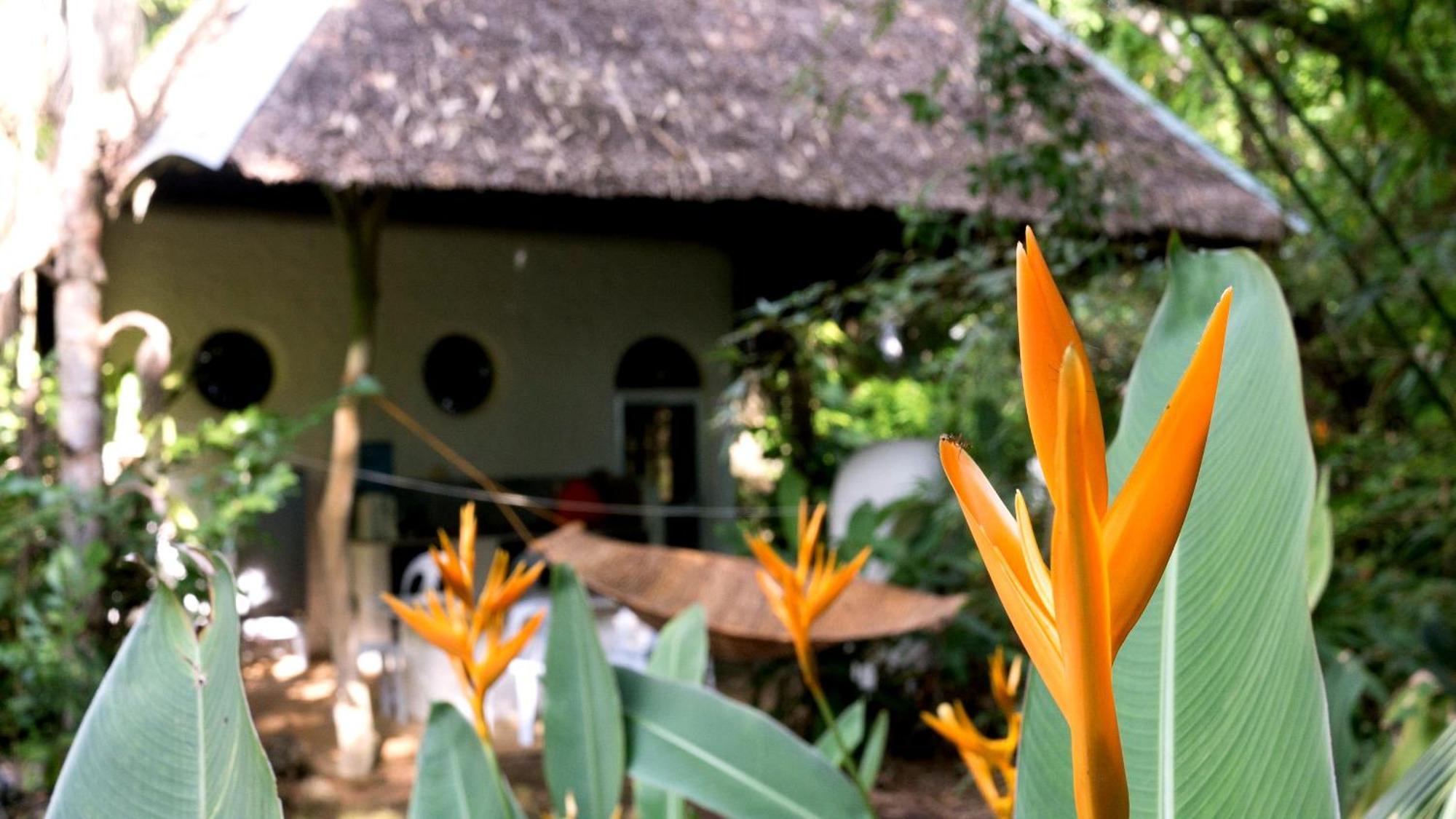 Kim'S Garden Villa Anda  Eksteriør billede