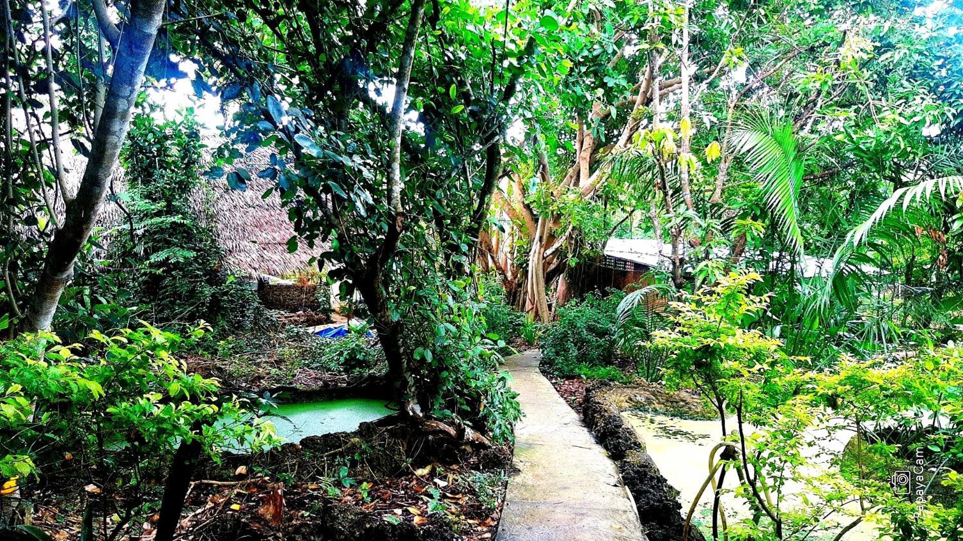 Kim'S Garden Villa Anda  Eksteriør billede