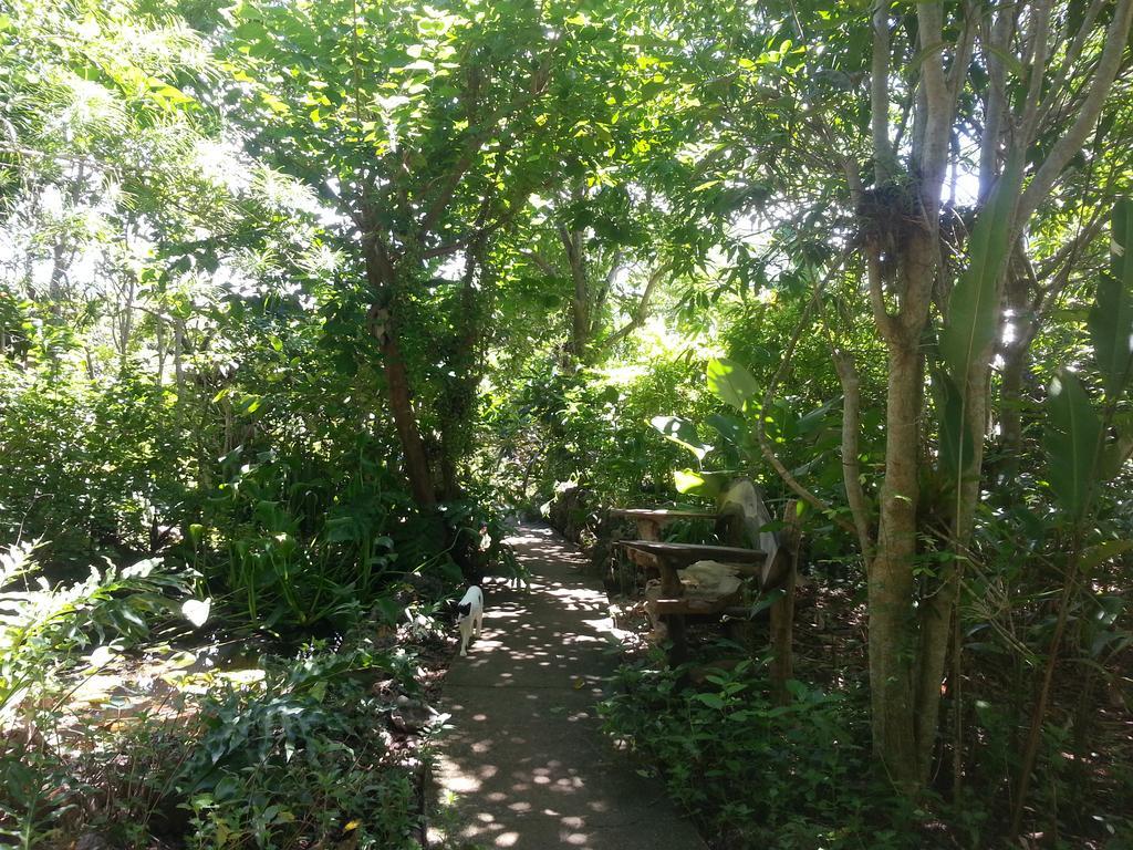 Kim'S Garden Villa Anda  Eksteriør billede