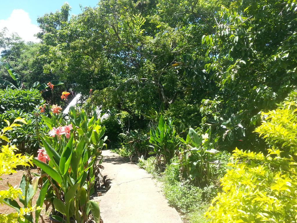 Kim'S Garden Villa Anda  Eksteriør billede